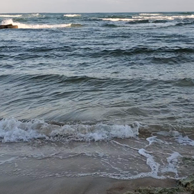 癒されてくださいの画像