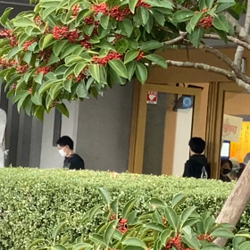 禊当日の思ひ出其の一。の画像