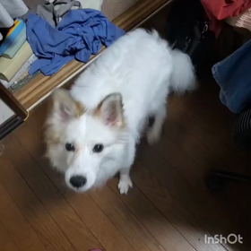 ヨ〜グルト♥の画像