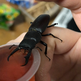 そこじゃないの画像