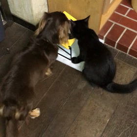 運動会後のルーティンの画像