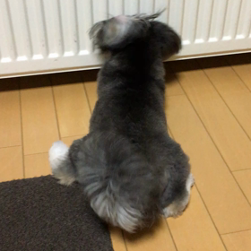 ぼ、、、ボール❗️❗️の画像