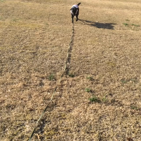 コラコラ…の画像