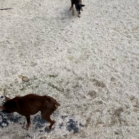 ナナ　ありがとうの画像