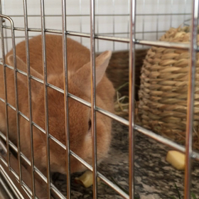 2015.10.04 5歳3ヶ月の画像