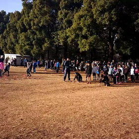 航空公園練習 ダッシュの場④の画像