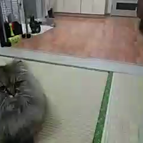 動画の第二弾の画像