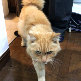 帰ってきたぁ〜〜。の画像