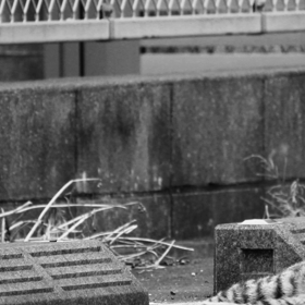 世界でいちばん好きな人の画像