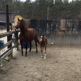 今日のリラとローラの画像