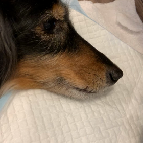 糖質が原因で呼吸苦しいかも？の画像