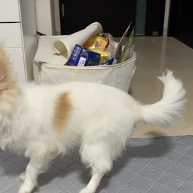 可愛すぎ❤️の画像