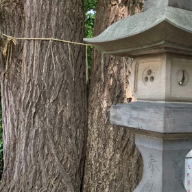 今年のレモネード。の画像