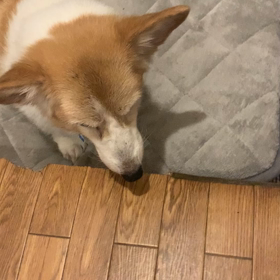 今日も　リハビリの画像