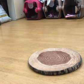 シエル編。の画像