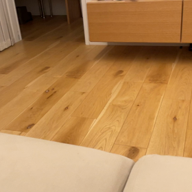 我が家のさくら。の画像