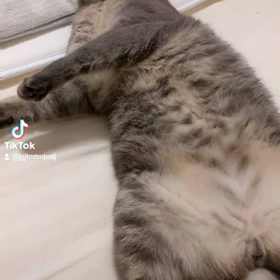 おまる君の画像