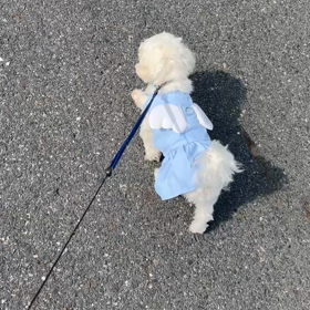 次女の愛を一身に受けるの画像