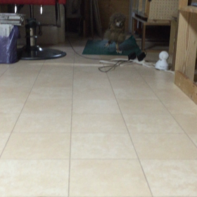 走るサイババの画像