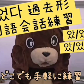 これ練習すれば韓国語の過去形が言えるようになるの画像