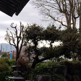 もう少し‥‥‥サボります(*ﾉｪﾉ)の画像