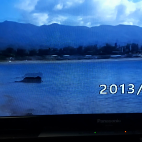 亀さんに会いにの画像