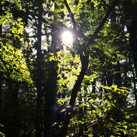 私という宝物の画像