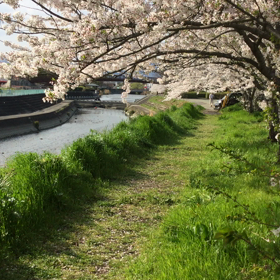 イヤだと思うことは、やらなくていいんですの画像