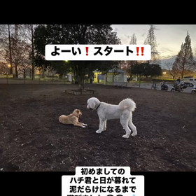 2023/12/18の画像