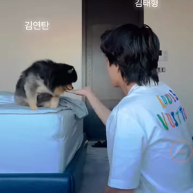 保存版（ヨンタンとテテ)の画像