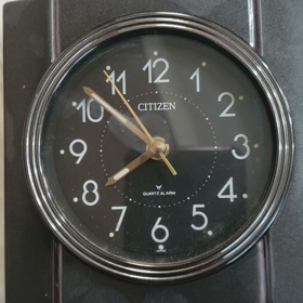 我が家も尖ってますの画像