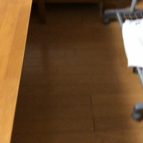 朝から保育園とテンション高いデールちゃん！の画像