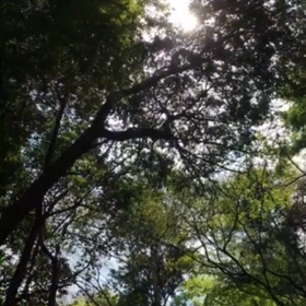 癒しスポット 続きの画像