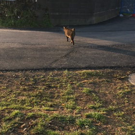 町医者のプライド！の画像