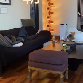 宇野樹君インスタストーリーより　朝〜　続きのなでなでの画像