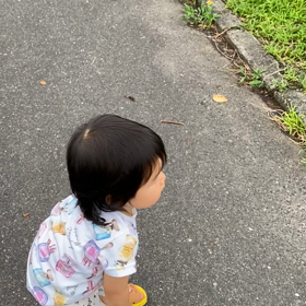 ツムツム成長期の画像