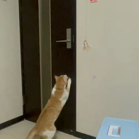 里親さまからお便りの画像