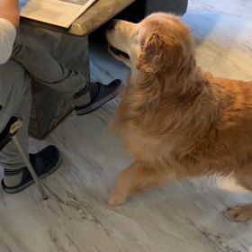 我が家の朝のルーティーの画像