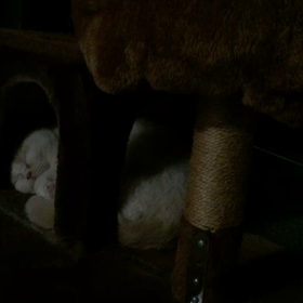 眠れぬ夜の独り言の画像