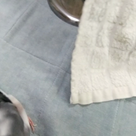 血液検査の結果を聞きにの画像