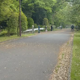 リレー選考会(男子)ゴール付近⑤の画像