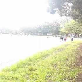 リレー特別練習(9月27日)③の画像