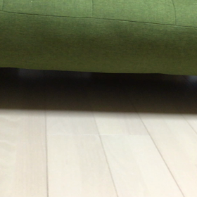 さあ！ 持ってきて！の画像