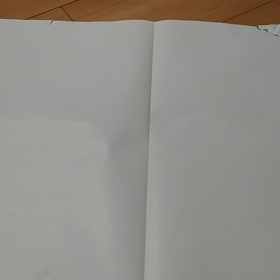 珍しい新聞広告の画像