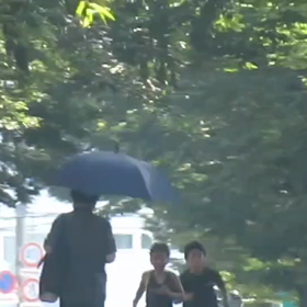 8月1日 ロード練習②の画像