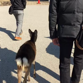 スッキリの画像