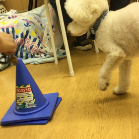 新人さんかっ！！の画像