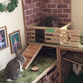 通せんぼ…の画像