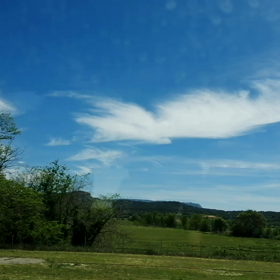 プロヴァンスの緑の画像