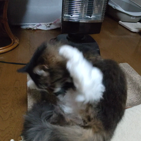 にゃんにゃん君 ストーブの画像